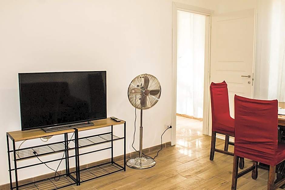 Daffodil in Roma San Pietro