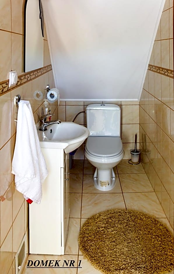 Domki i Pokoje u Borsa