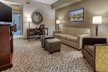 Superior Queen Suite with Sofa Bed - Hearing Accessible, Tub