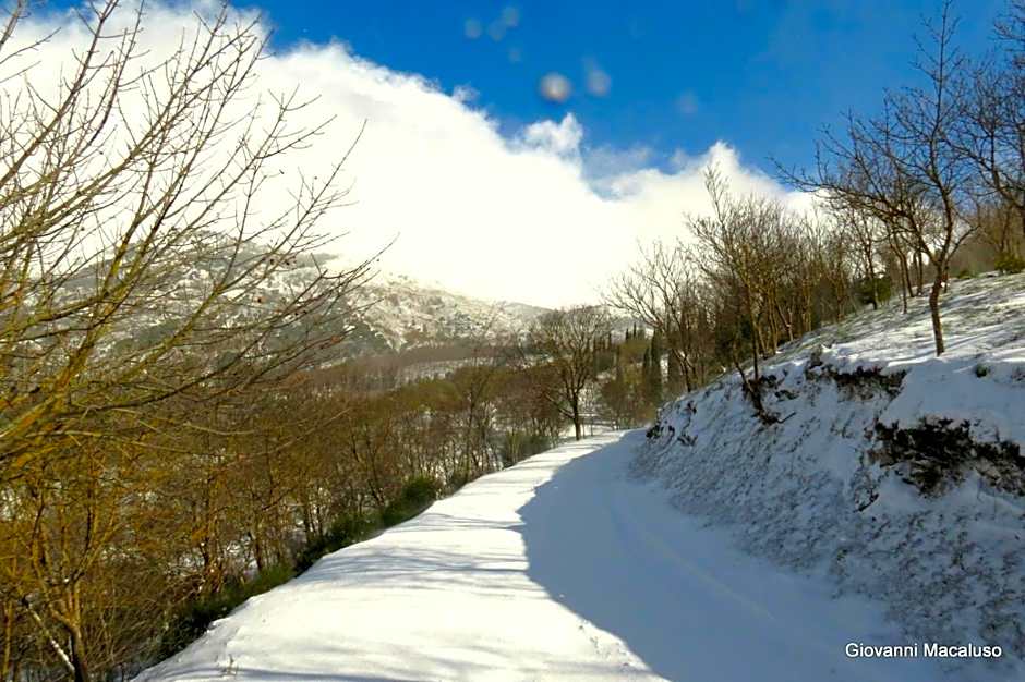 Hotel Residenza Petra