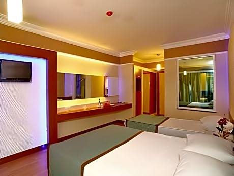 Castle view Room No. 1