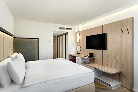 Premium Double Room with Wellness and Fitness Access