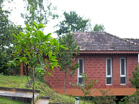 Sharavathi Adventure Camp -Jungle lodges