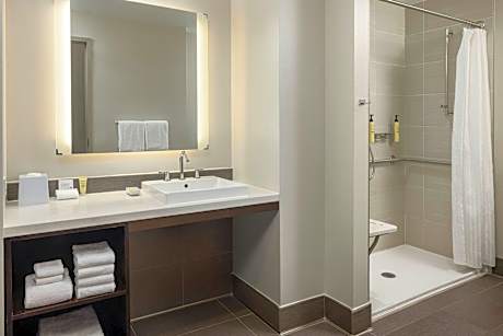 One Bedroom King Suite, 1 Bedroom Suite, 1 King, Sofa bed