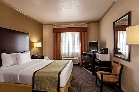 1 Queen Bed, Mobility/Hearing Impaired Accessible Room, Park View, Non-Smoking