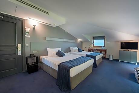 Twin Room - Attic