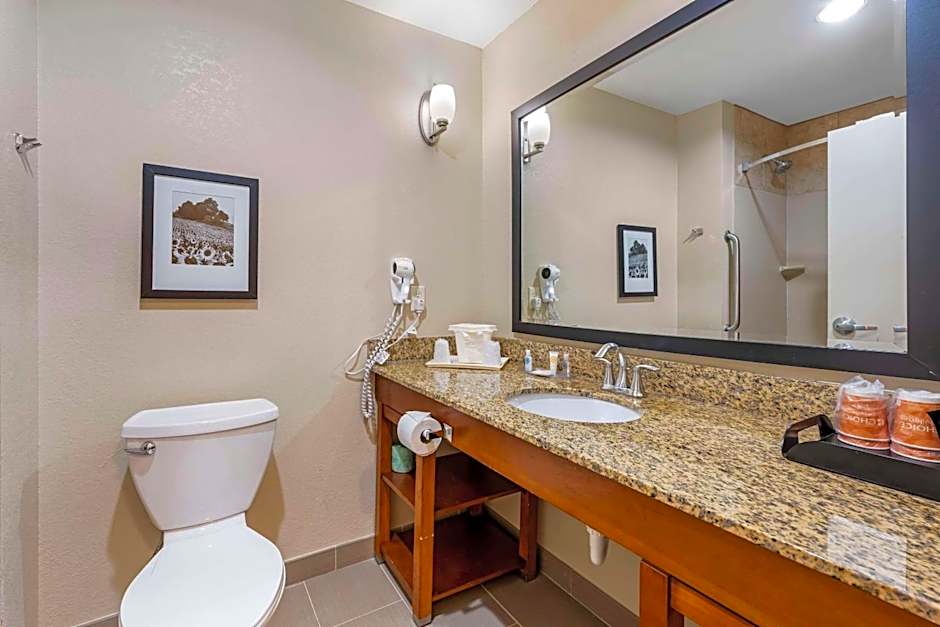 Comfort Suites East Lincoln - Mall Area