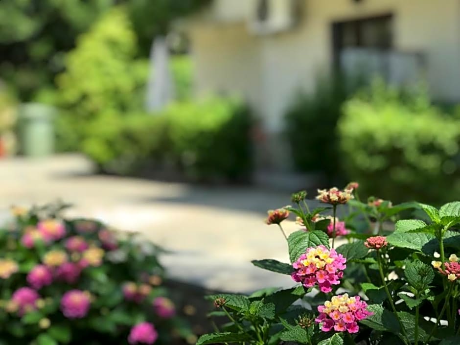 Studios Estrella del mar