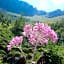 B&B Les Rochers 42 lits