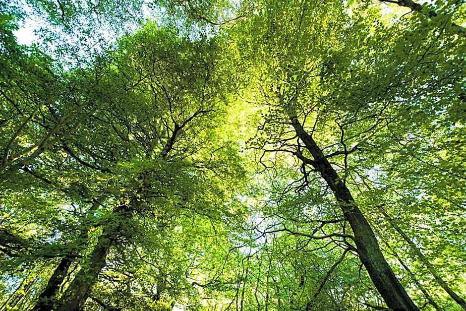 Chevin Country Park Hotel & Spa