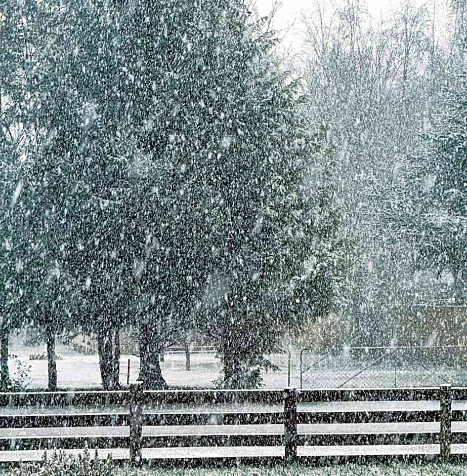 Athol Country Bed & Breakfast