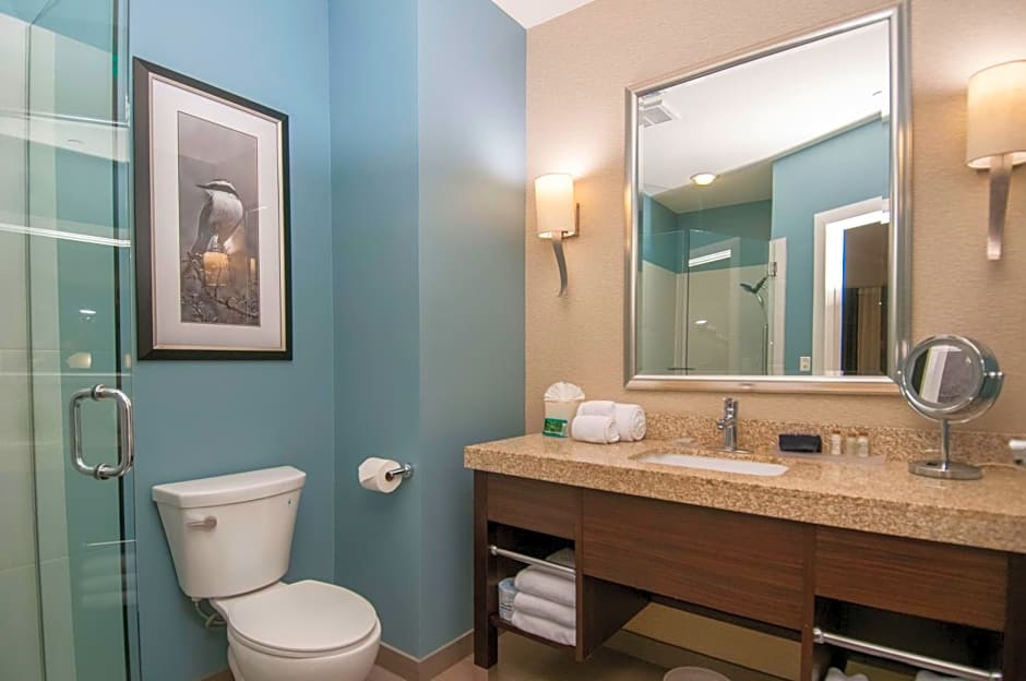 Hotel Indigo Waco-Baylor By IHG