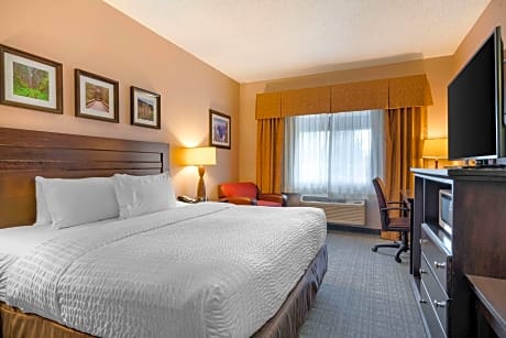 1 King Bed, Nonsmoking, Accessible