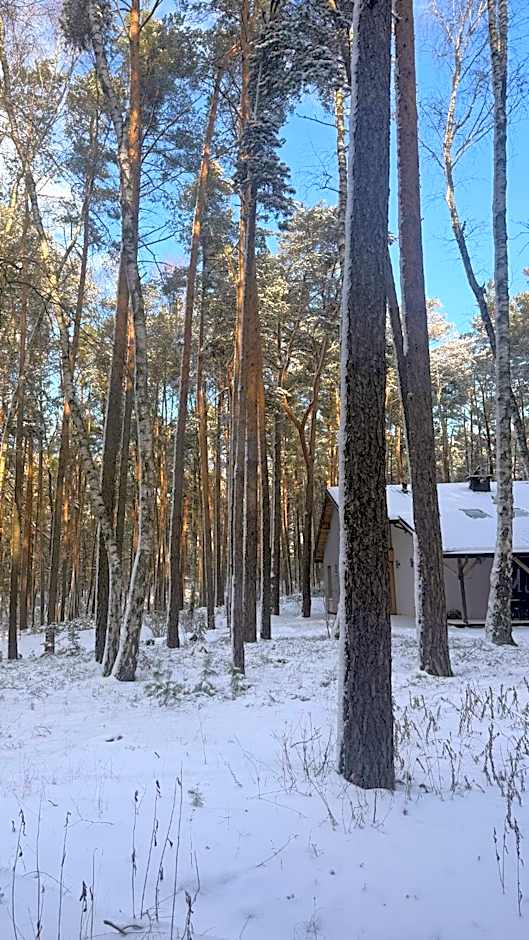 Park Rekreacyjno-Biznesowy Las Woda