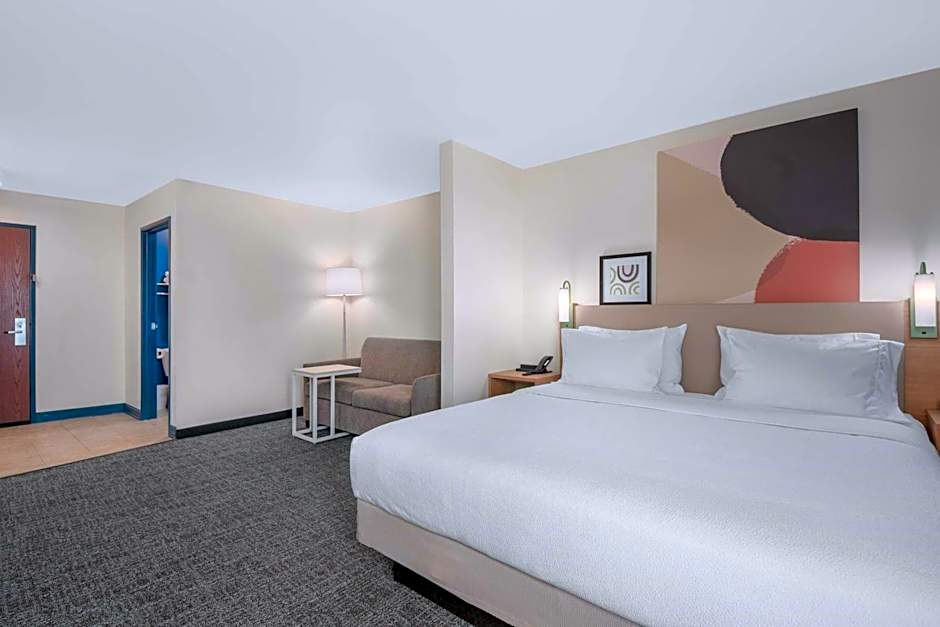 Spark by Hilton Minot