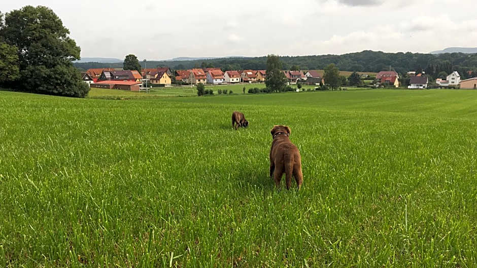 Ferienhaus: "Casa de Summer"