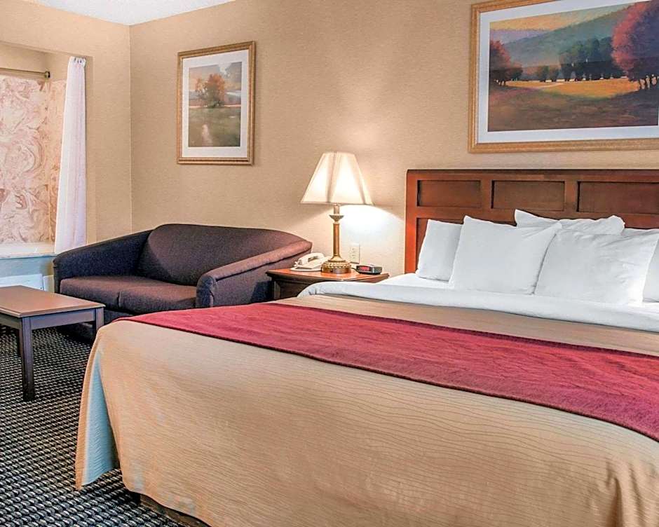 Comfort Inn Livonia