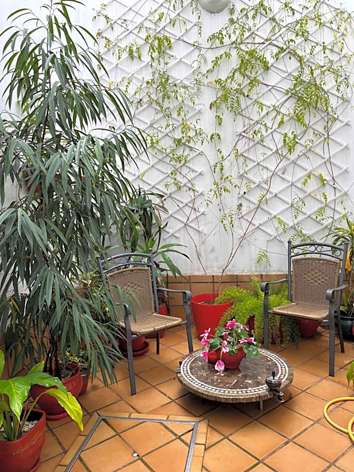 Un Patio al Sur