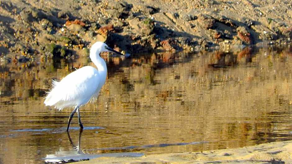 Hotel Alicia Auray Le Bono