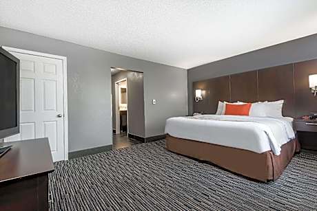 One-Bedroom Deluxe King Suite - Non-Smoking