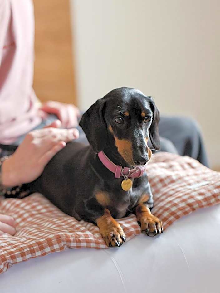 ALFRED HOTELS Compiègne