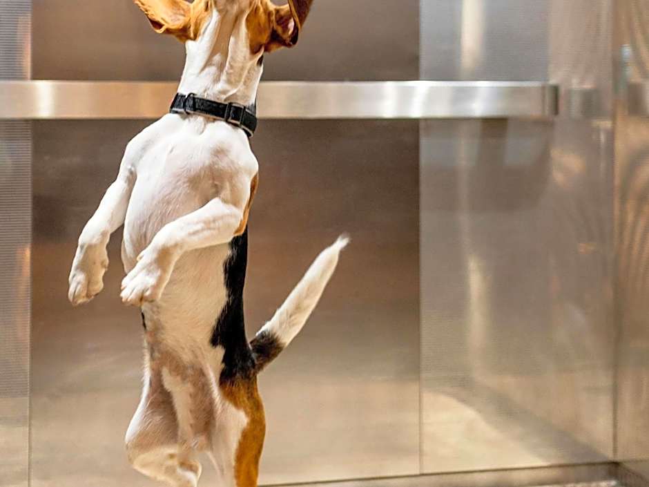 ibis Liège Centre Opéra