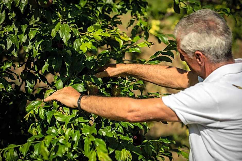 Villa Ginevra Resort Agrituristico