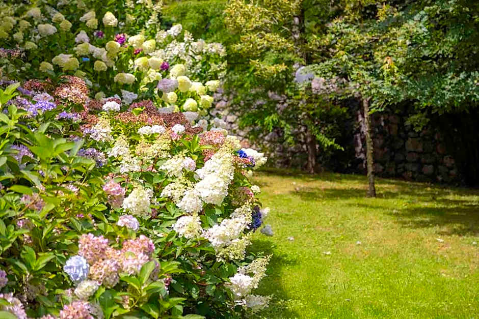 Hotel Rural Arpa de Hierba