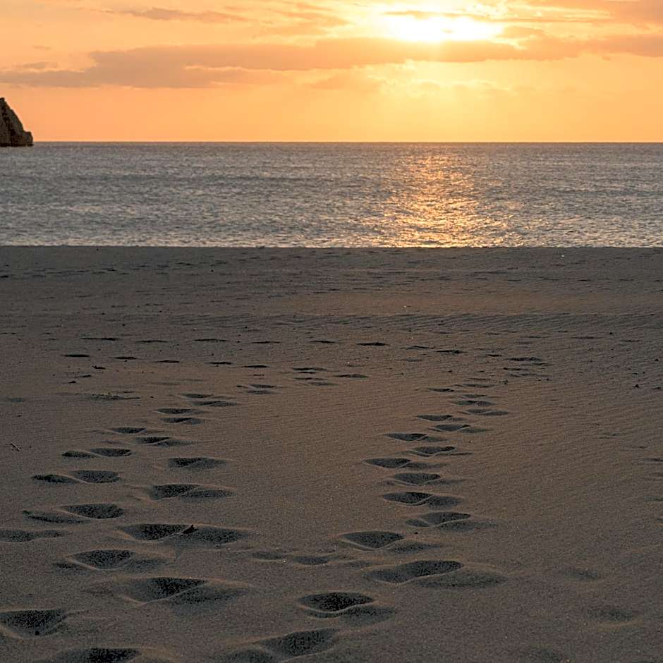 Paligremnos Infinity - Adults only