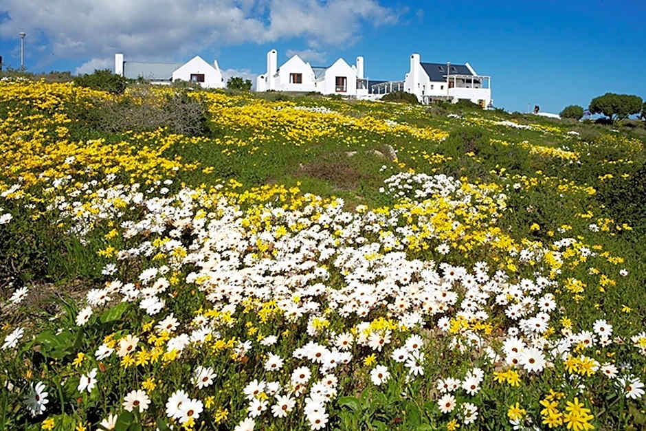 Abalone Hotel & Villas