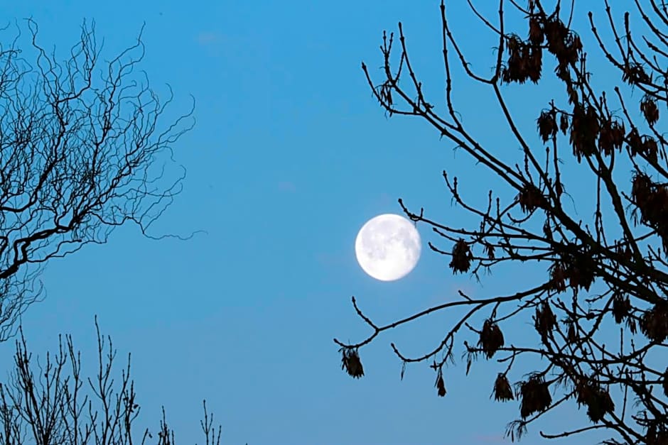 Harlingen Staete B&B Boutique hotel