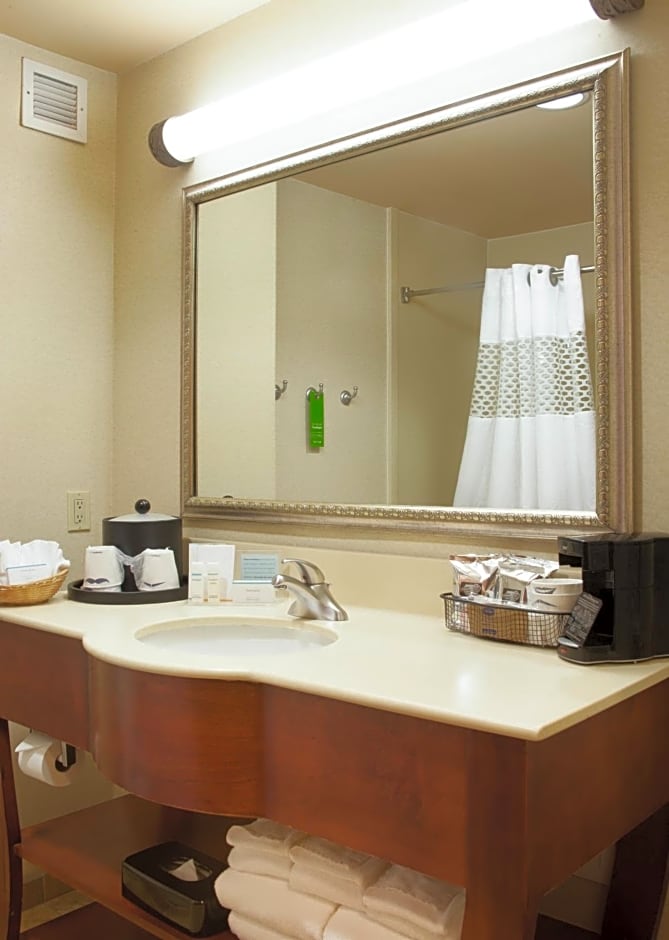 Hampton Inn and Suites-Brownsville