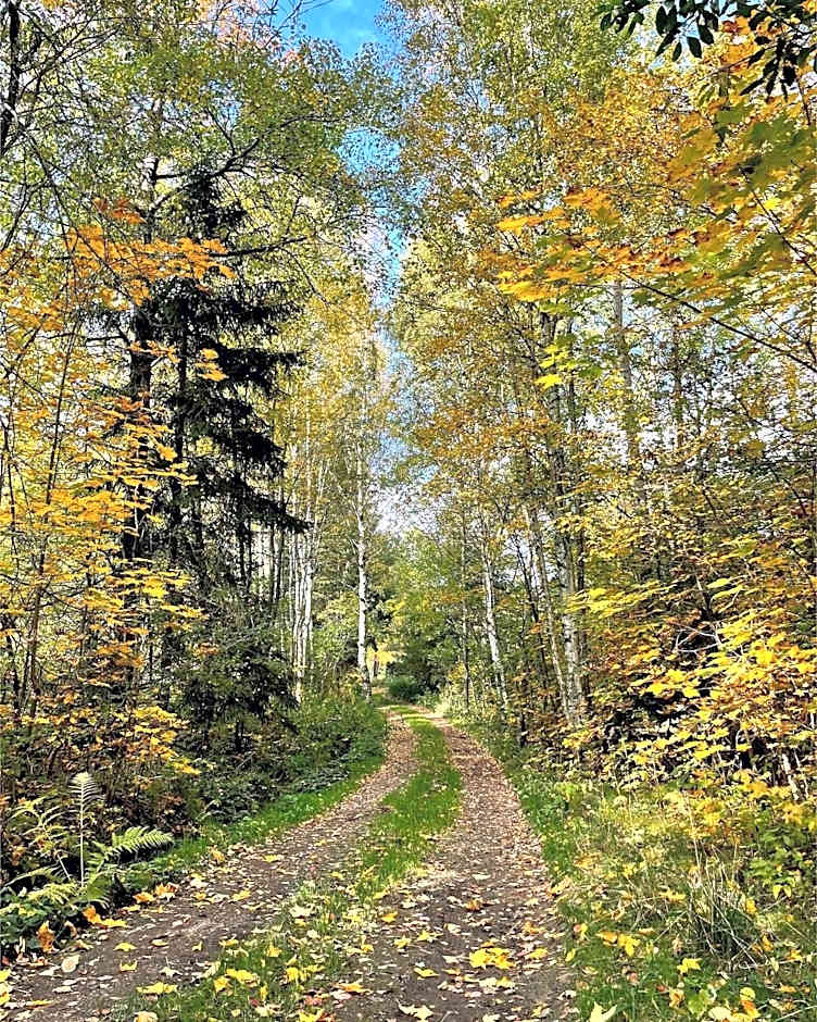 Penzion Pod Dratnikem