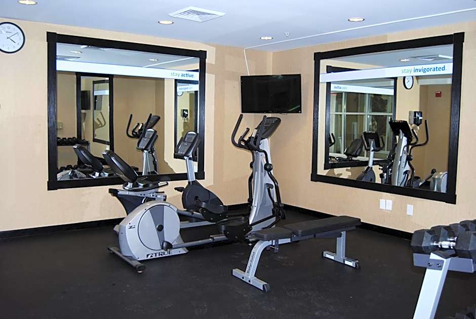 Holiday Inn Express Hotel & Suites Auburn Hills by IHG