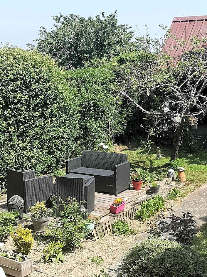 Les Eléphants bleus