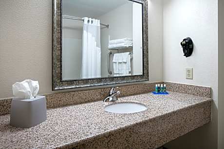 1 King Standard Jetted Tub