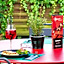 ibis Hotel Regensburg City