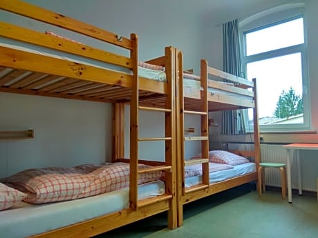 Bed in 8-Bed Mixed Dormitory Room