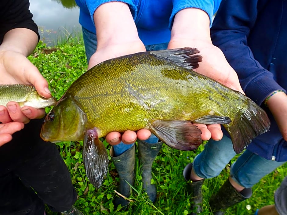 Domaine de la Clauzade