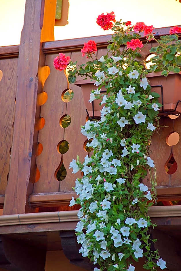 Posada La Rivera De Escalante