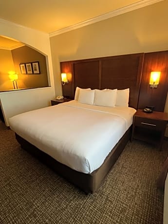 Comfort Suites Texas Avenue