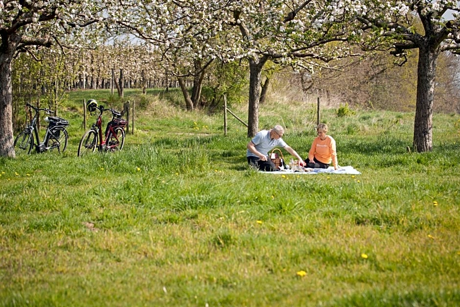 B&B De Kersentuin