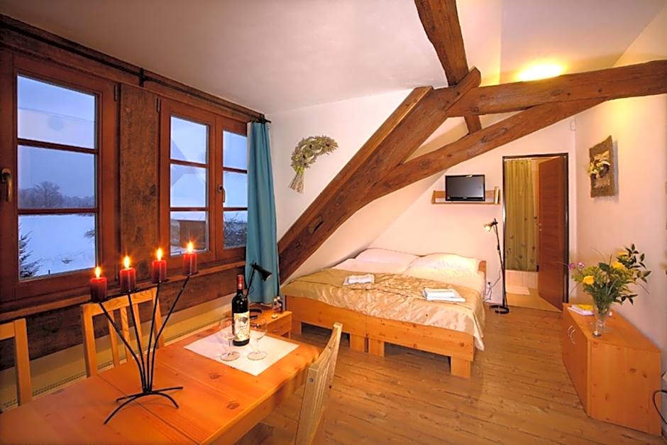 Wellness hotel & minipivovar Kněžínek