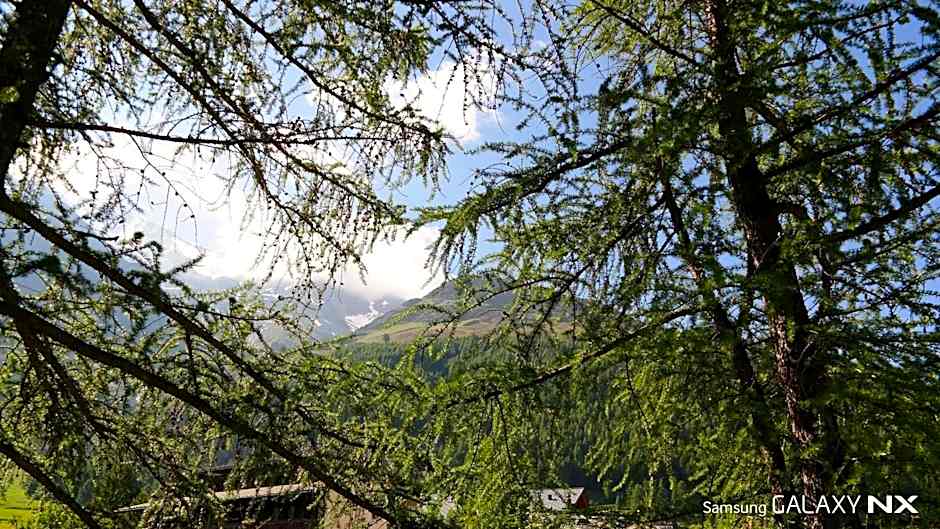 Amber Ski-in/out Hotel & Spa