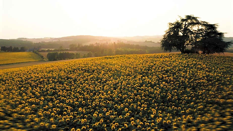 Hotellerie de l'Abbaye du Désert