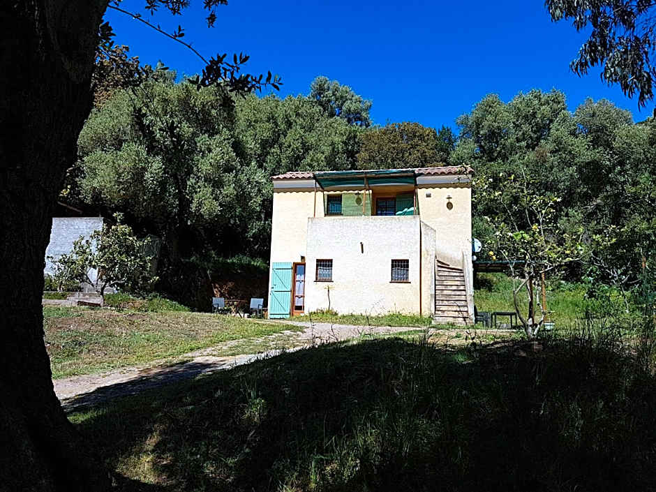 A CASA DI L'ALIVU