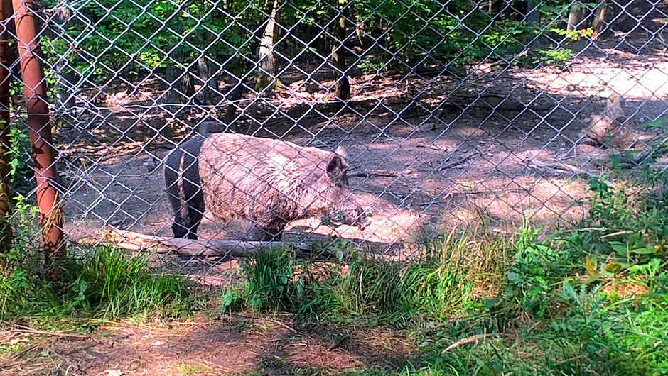 Chata nad kúpaliskom