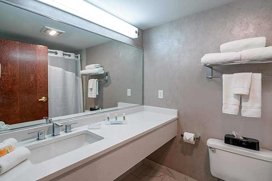 Holiday Inn Wilmington By IHG