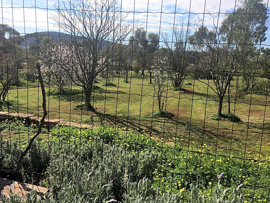 York's Lookout Lodge Bed And Breakfast