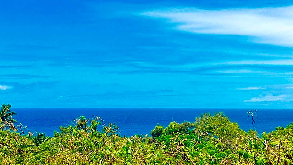 CampSarap Hostel & Resort